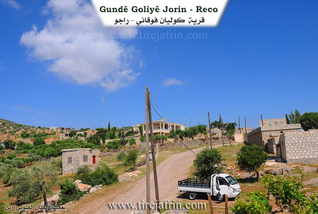 Photo of Goliyê Jorin